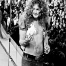 Robert Plant   13"x19" (32cm/49cm) Polyester Fabric Poster