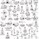 Ananda Marga Yoga Asanas Chart  18"x28" (45cm/70cm) Poster