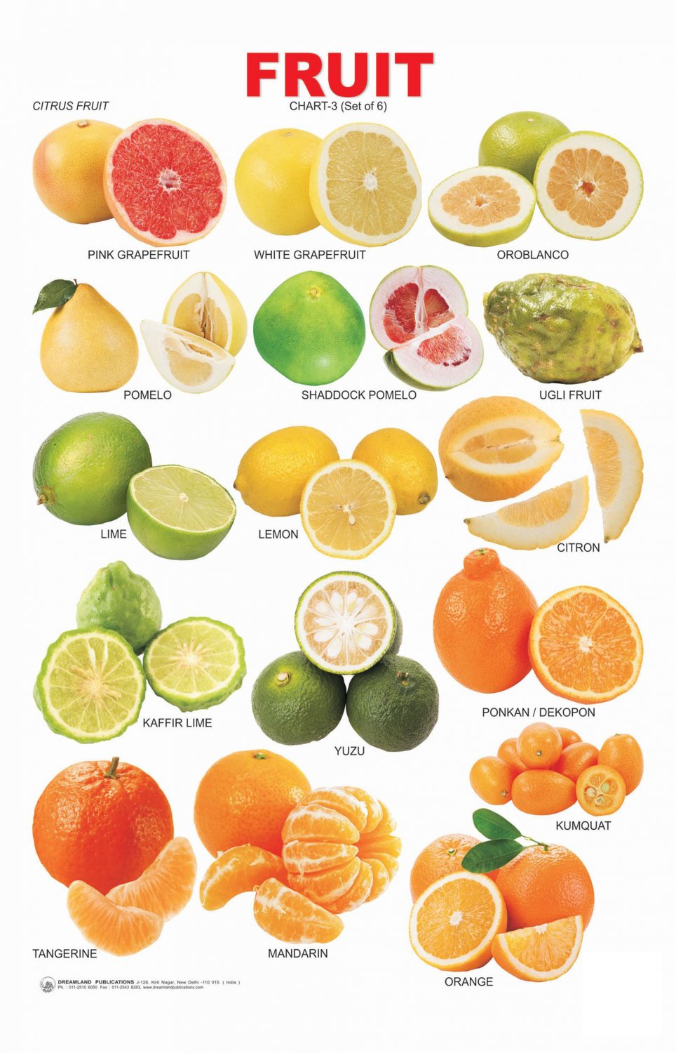 Different Fruits Citrus Chart  13"x19" (32cm/49cm) Polyester Fabric Poster