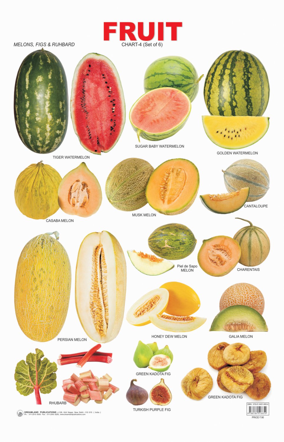 Different Fruits Melons Chart  13"x19" (32cm/49cm) Polyester Fabric Poster
