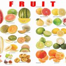 Fruits Circuits and Melons Chart  18"x28" (45cm/70cm) Poster