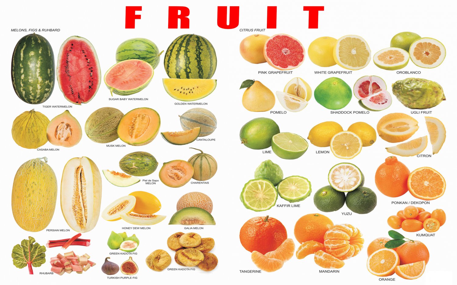 Fruits Circuits and Melons Chart 13"x19" (32cm/49cm) Polyester Fabric Poster