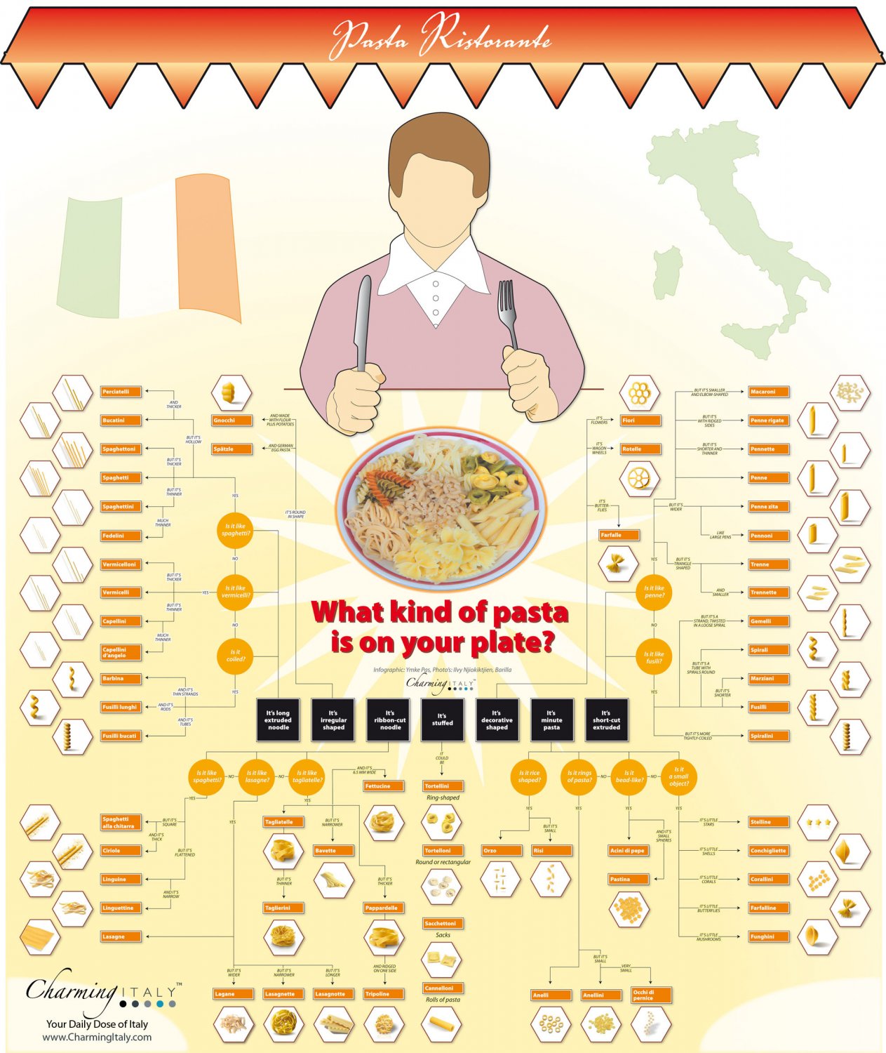 What kind of pasta is in your plate Chart  13"x19" (32cm/49cm) Polyester Fabric Poster