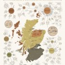 The Survey of Scotch Whiskey Distilleries of Scotland Chart  18"x28" (45cm/70cm) Poster