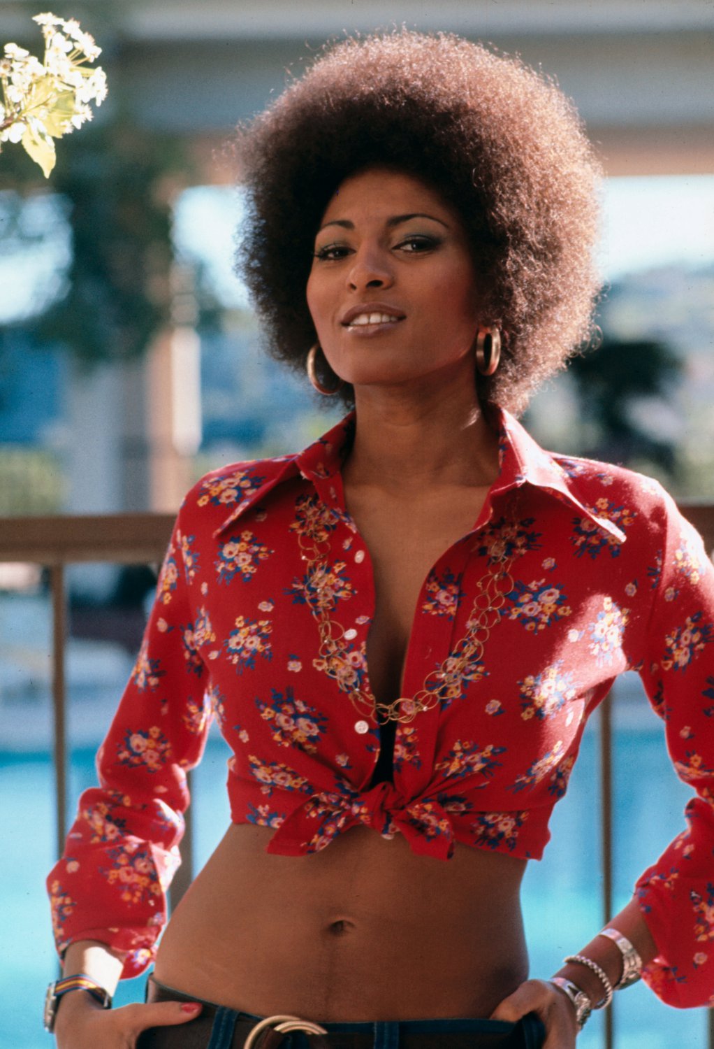 Pam Grier 13"x19" (32cm/49cm) Polyester Fabric Poster