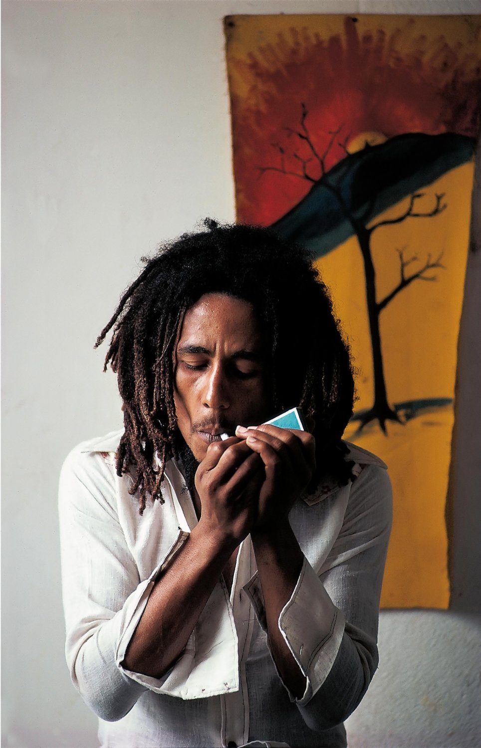 Bob Marley  18"x28" (45cm/70cm) Canvas Print