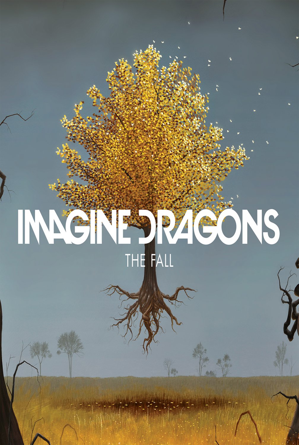 Imagine Dragons The Fall 13"x19" (32cm/49cm) Polyester Fabric Poster