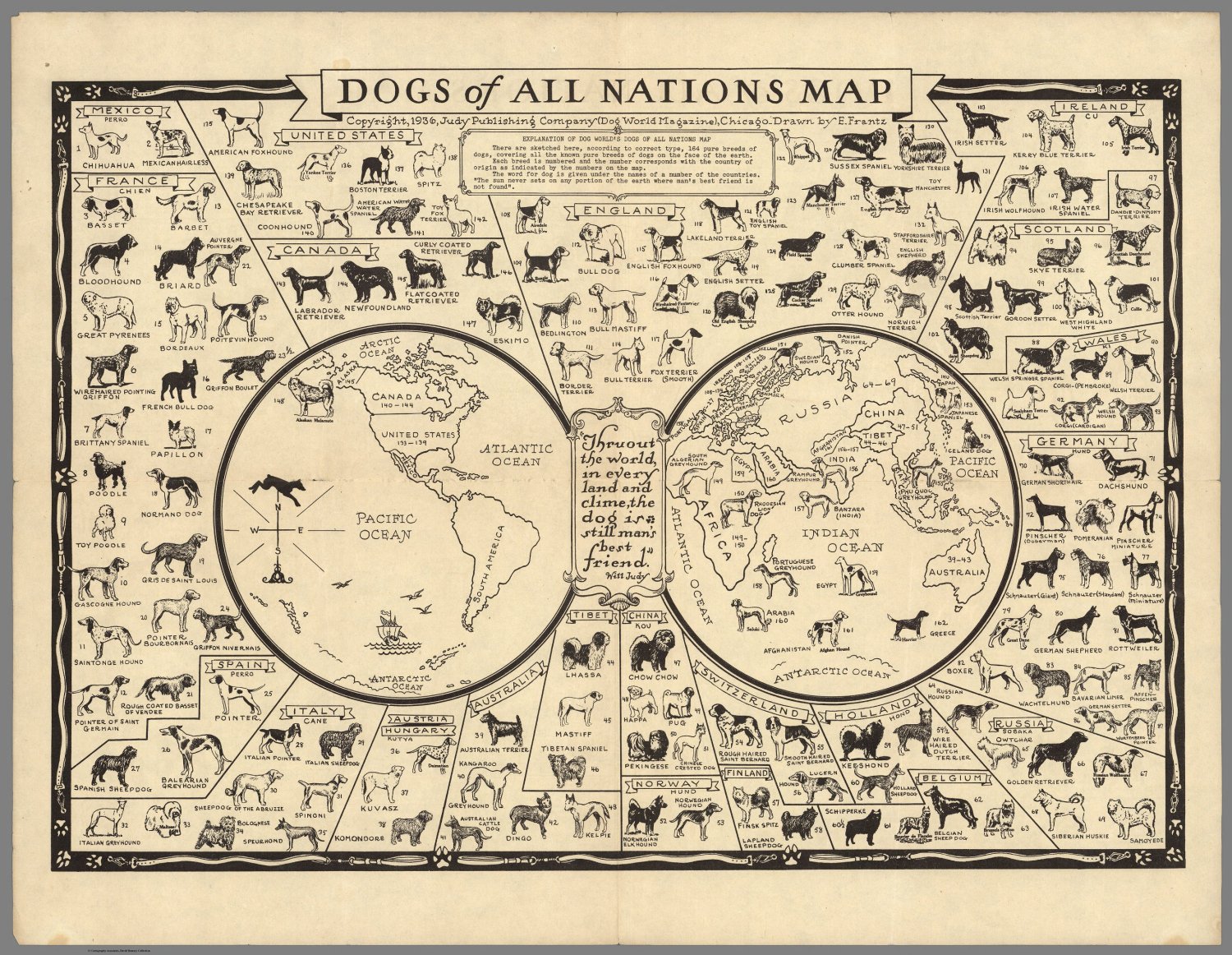 Dogs of All Nations Map Infographic  13"x19" (32cm/49cm) Polyester Fabric Poster