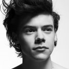 Harry Styles  13"x19" (32cm/49cm) Polyester Fabric Poster