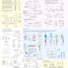 Big Guide to Drawing the Body 18"x28" (45cm/70cm) Poster