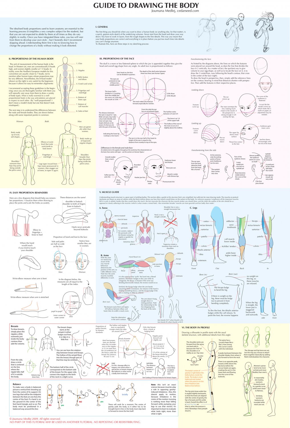 Big Guide to Drawing the Body 18"x28" (45cm/70cm) Canvas Print