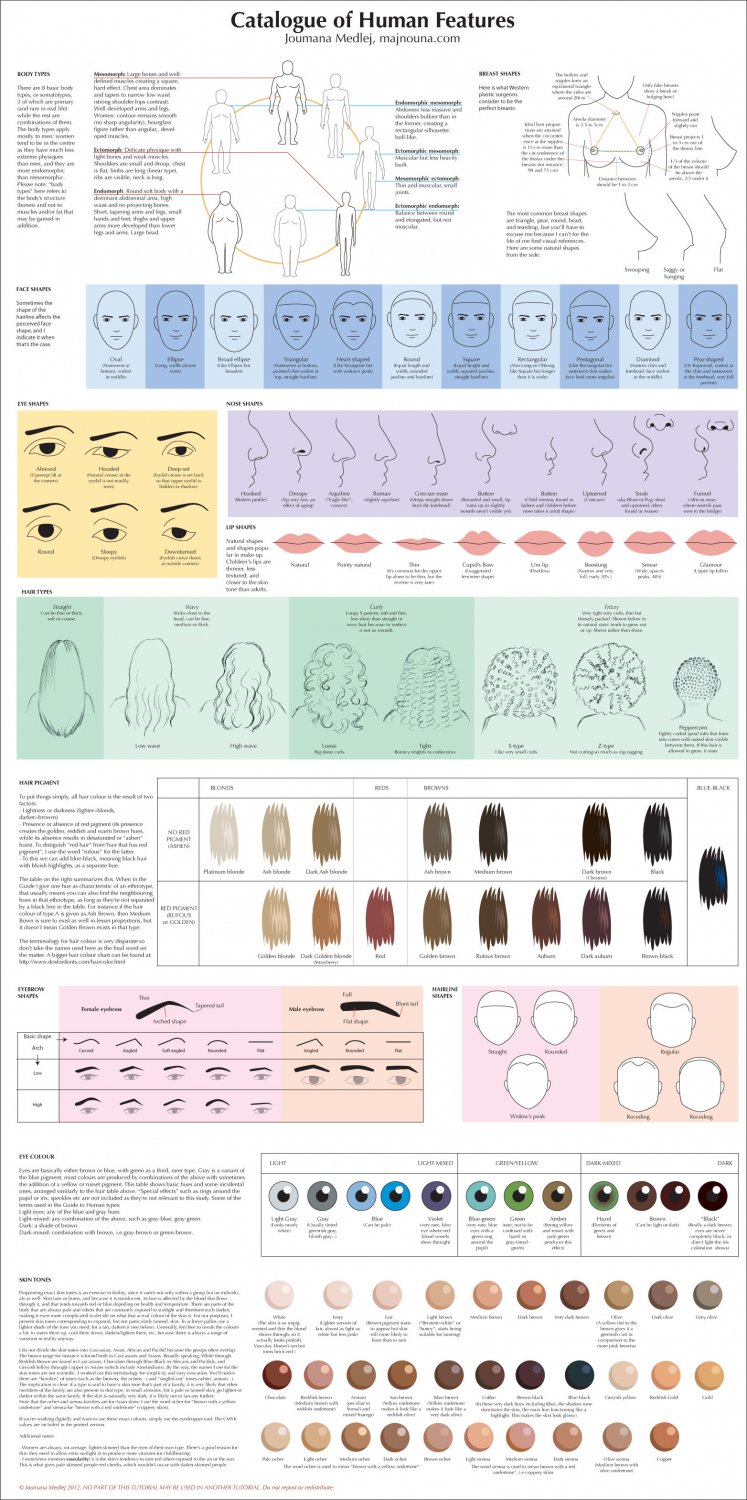 Catalogue of Human Features 18"x28" (45cm/70cm) Poster