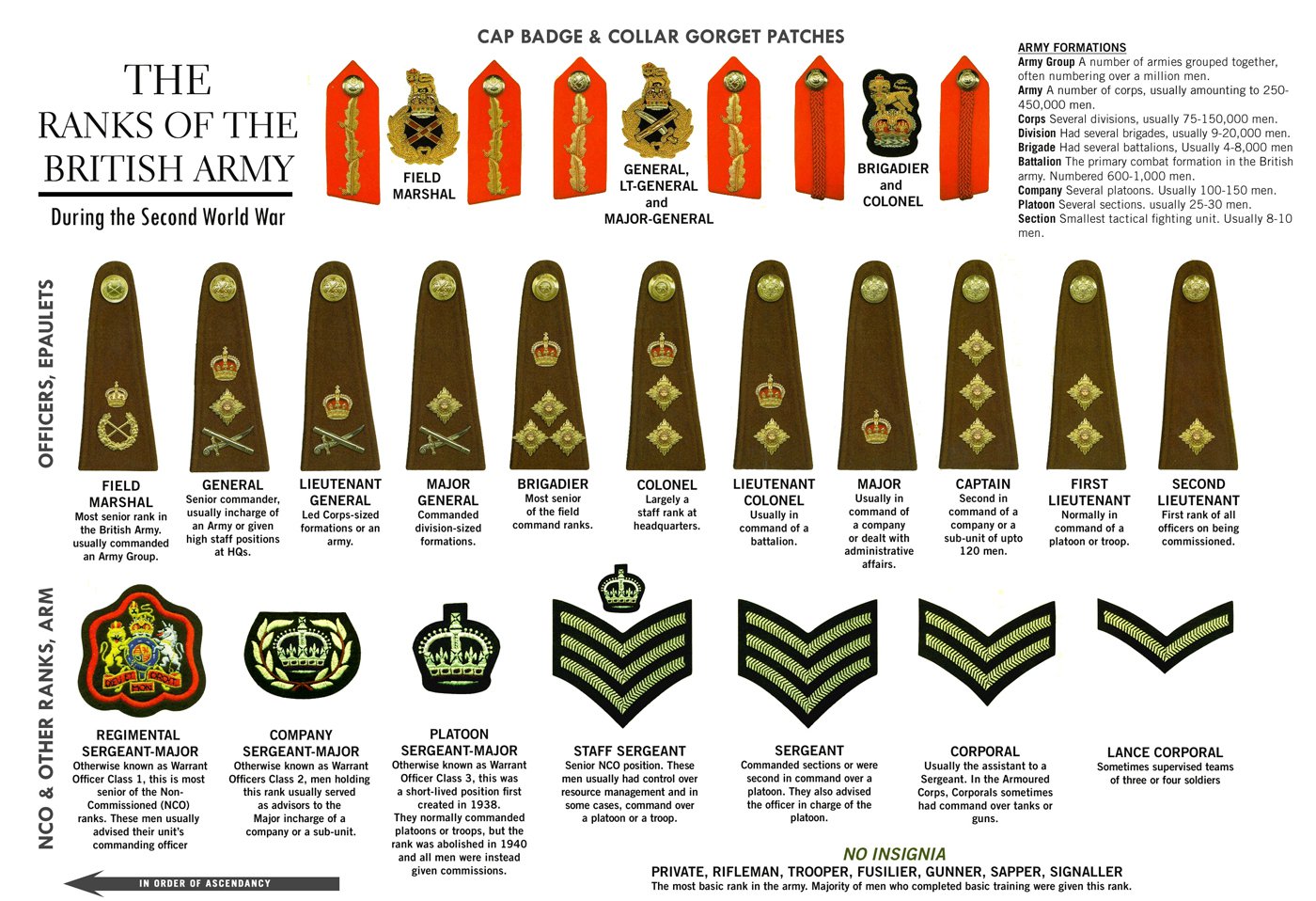 The Ranks of The British Army Second World War 13"x19" (32cm/49cm) Polyester Fabric Poster