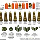The Ranks of The British Army Second World War 13"x19" (32cm/49cm) Polyester Fabric Poster