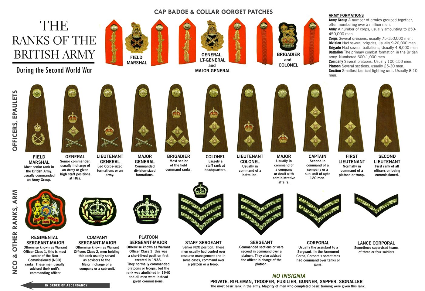 The Ranks of The British Army Second World War 18"x28" (45cm/70cm) Poster
