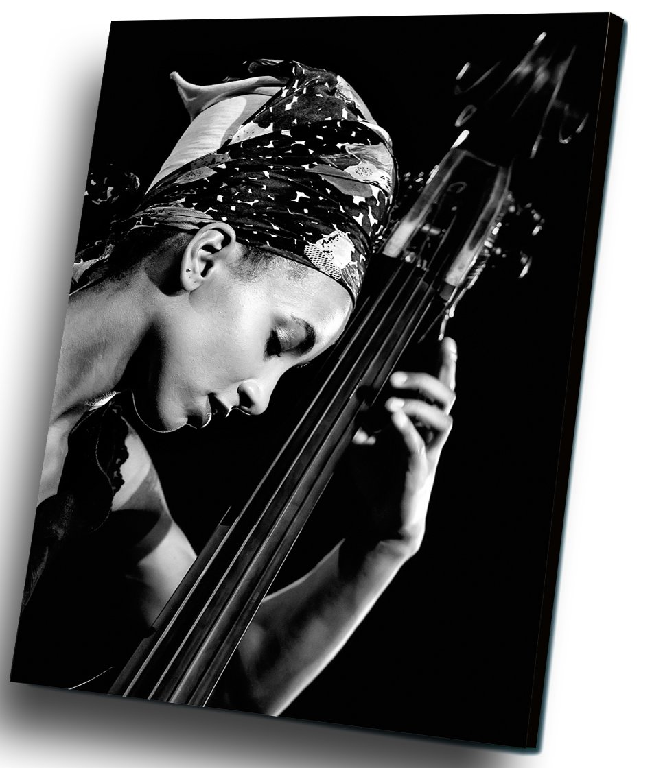 Esperanza Spalding 12"x16" (30cm/40cm) Canvas Print