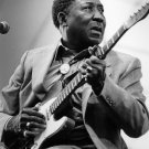 Muddy Waters  18"x28" (45cm/70cm) Poster