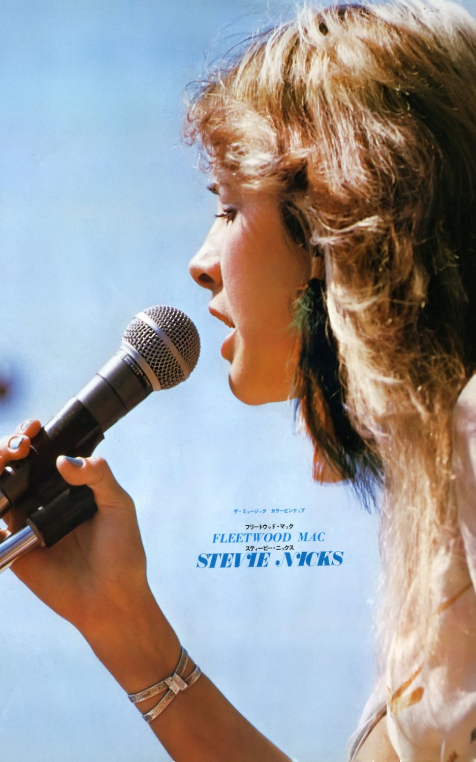 Stevie Nicks 18"x28" (45cm/70cm) Poster