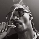 Snoop Dogg 18"x28" (45cm/70cm) Poster