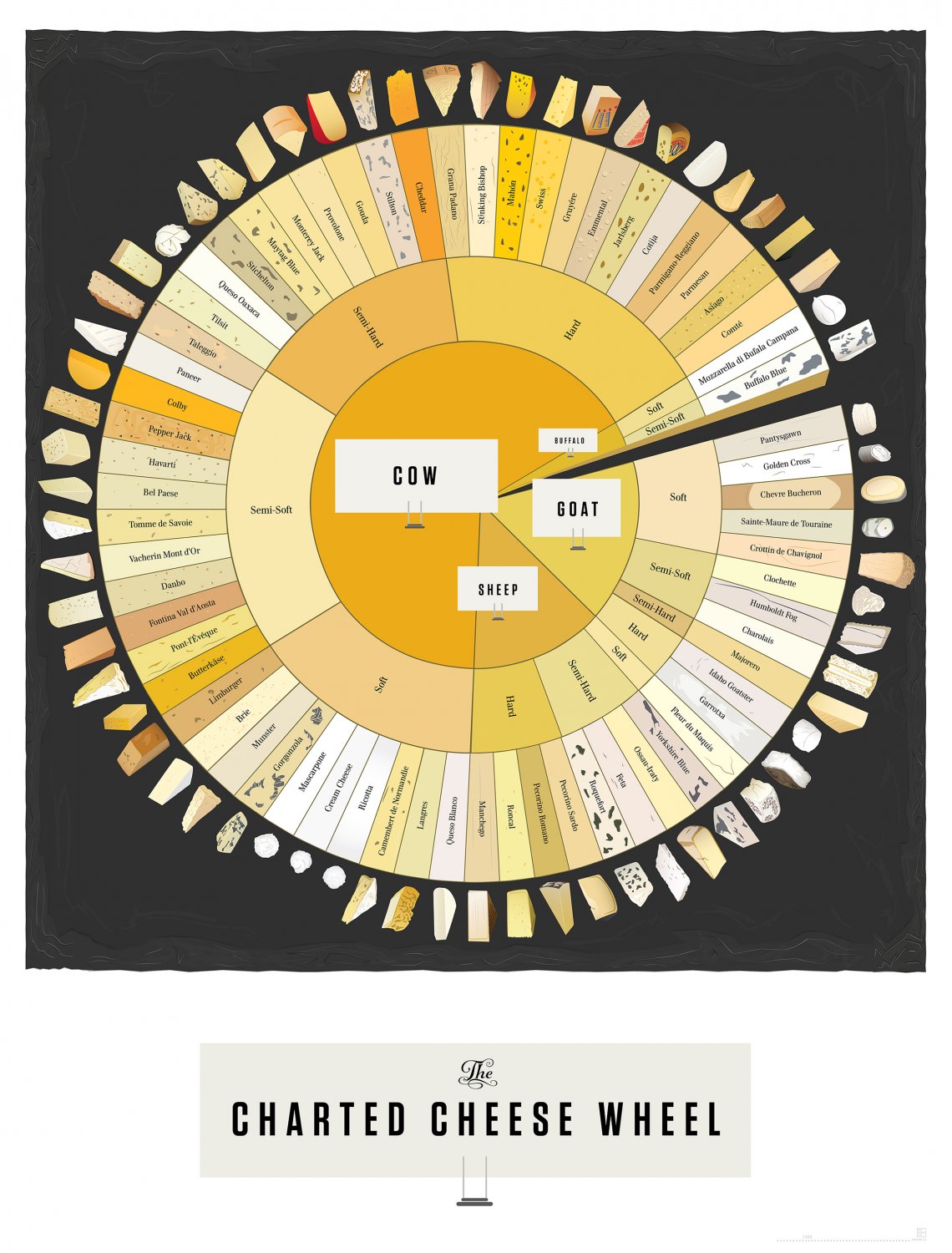 The Charted Cheese Wheel Infographic Chart  18"x28" (45cm/70cm) Canvas Print
