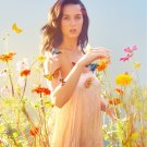 Katy Perry 13"x19" (32cm/49cm) Polyester Fabric Poster