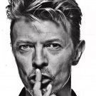 David Bowie 13"x19" (32cm/49cm) Polyester Fabric Poster