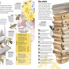 Bee Hive Activity Infographic Chart 18"x28" (45cm/70cm) Canvas Print