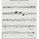 Visual Guide to Musical Notation Chart 18"x28" (45cm/70cm) Poster