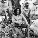 Bob Marley  18"x28" (45cm/70cm) Canvas Print