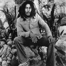 Bob Marley   18"x28" (45cm/70cm) Poster