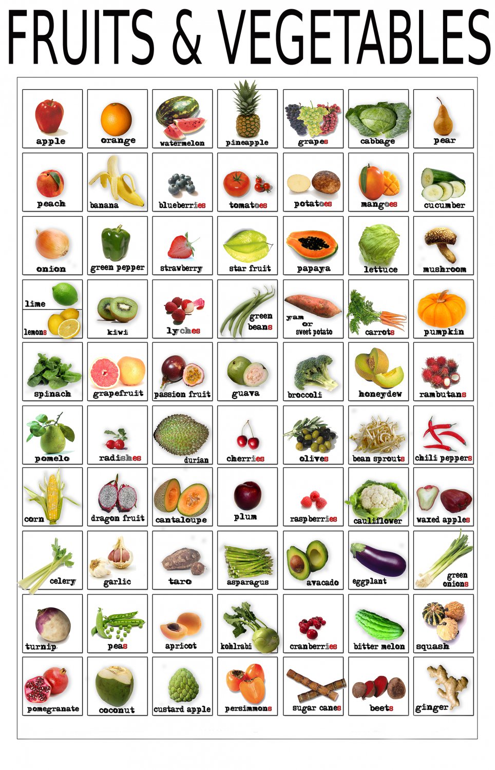 Fruits and Vegetables Infographic Chart  18"x28" (45cm/70cm) Canvas Print