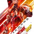 Ant-Man and the Wasp 18"x28" (45cm/70cm) Poster