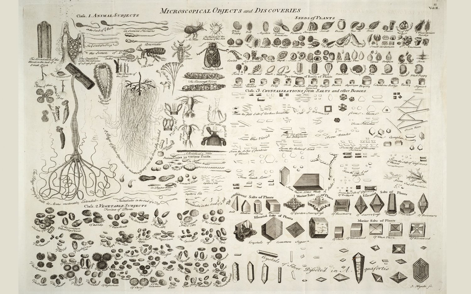 Microscopic Objects and Discoveries Chart  18"x28" (45cm/70cm) Canvas Print