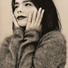 Björk 18"x28" (45cm/70cm) Canvas Print
