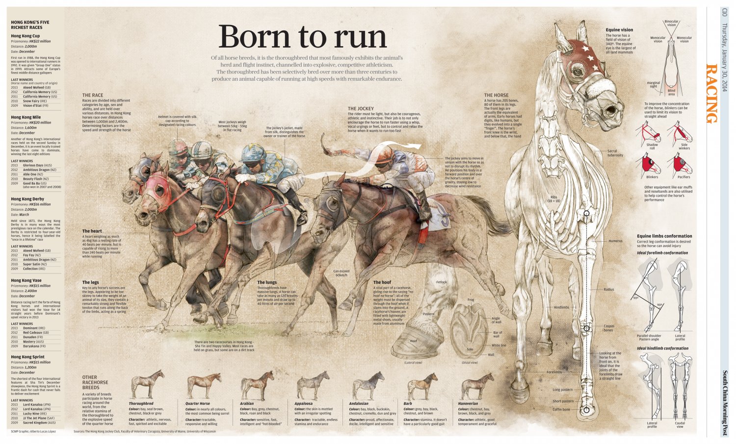 Hong Kong's Five Richest Races Born to Run Chart 13"x19" (32cm/49cm) Polyester Fabric Poster