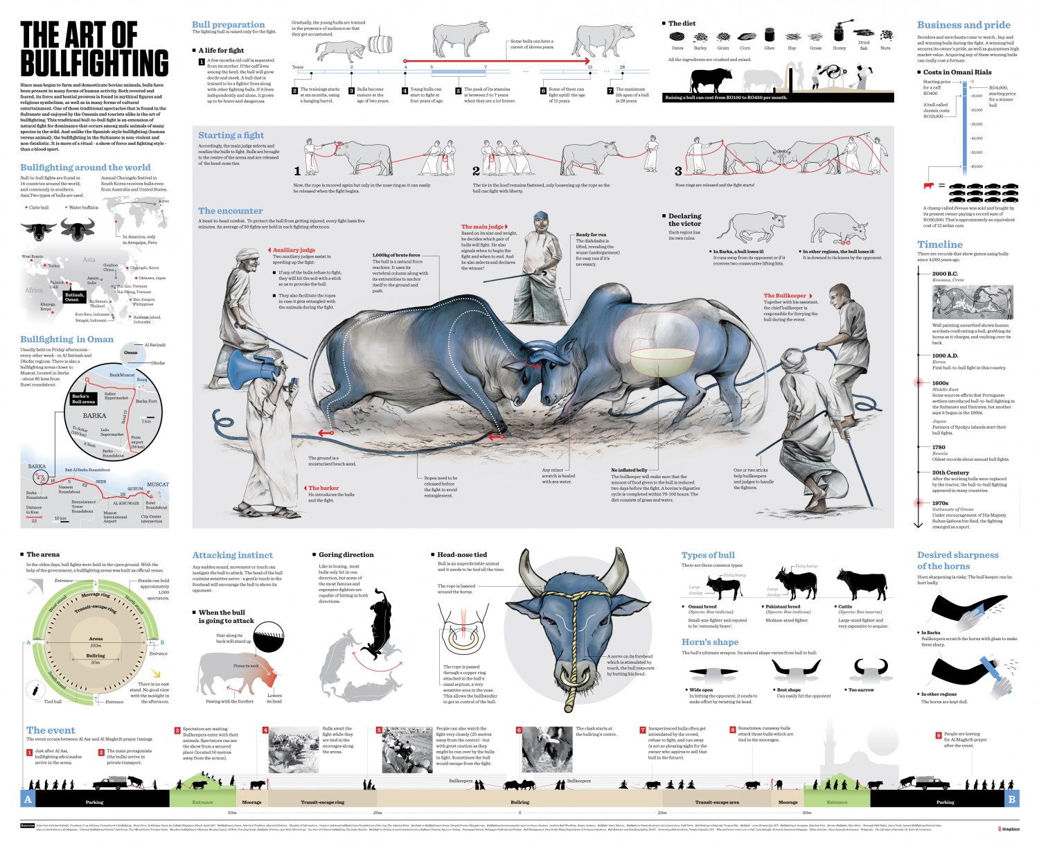 The Art of Bullfighting Infographic Chart 13"x19" (32cm/49cm) Polyester Fabric Poster