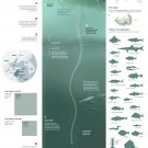 The Dead Zone Infographic Chart 13"x19" (32cm/49cm) Polyester Fabric Poster