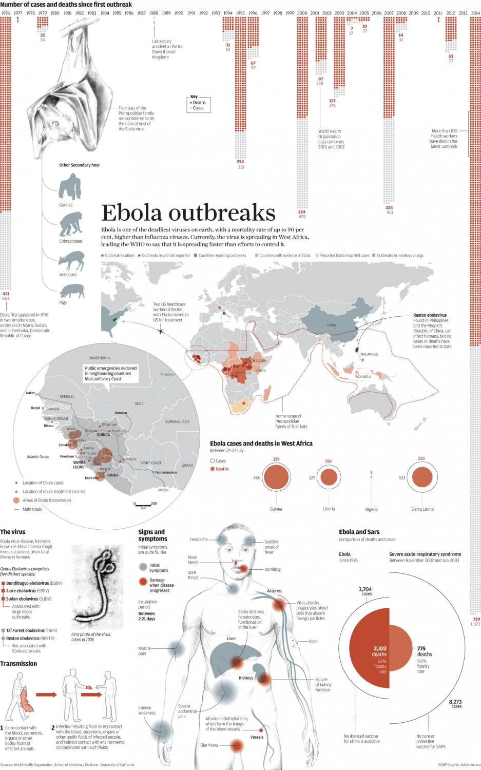 Cases and Deaths during the first Ebola outbreak Chart 18"x28" (45cm/70cm) Canvas Print