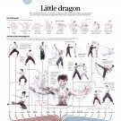 Little Dragon Bruce Lee Infographic Chart 18"x28" (45cm/70cm) Canvas Print