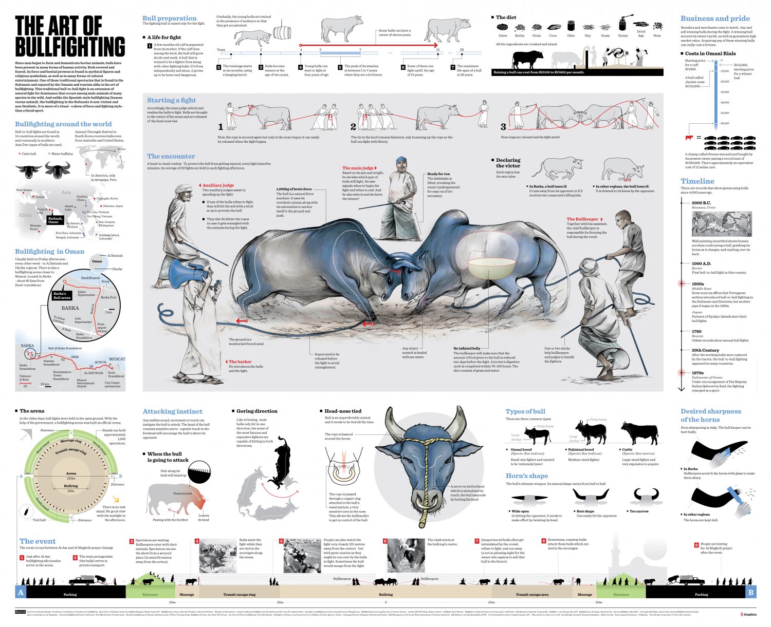 The Art of Bullfighting Infographic Chart 18"x28" (45cm/70cm) Poster