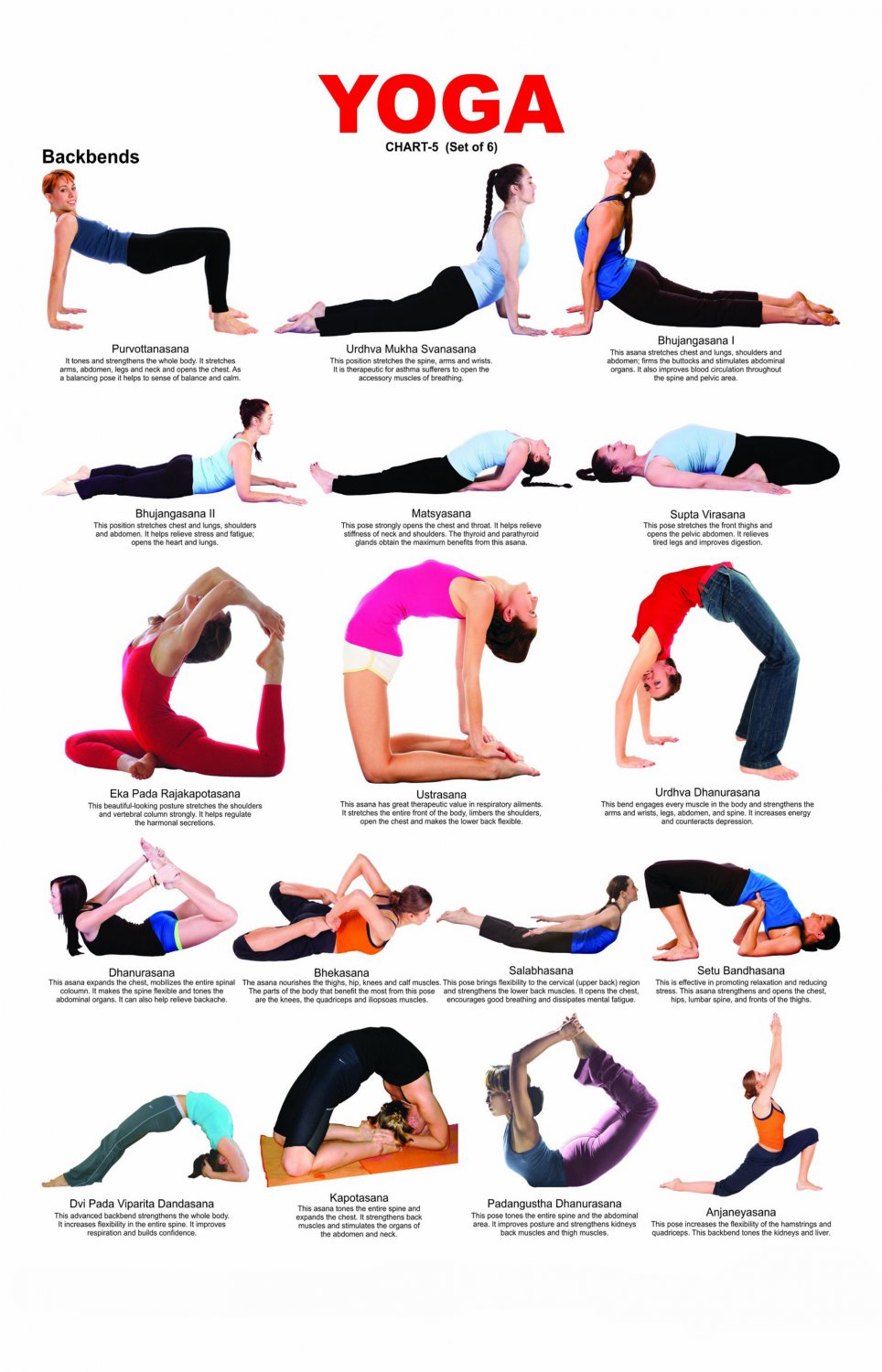 Yoga Backbends Chart 18"x28" (45cm/70cm) Canvas Print