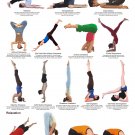Yoga Inversions Chart 18"x28" (45cm/70cm) Canvas Print