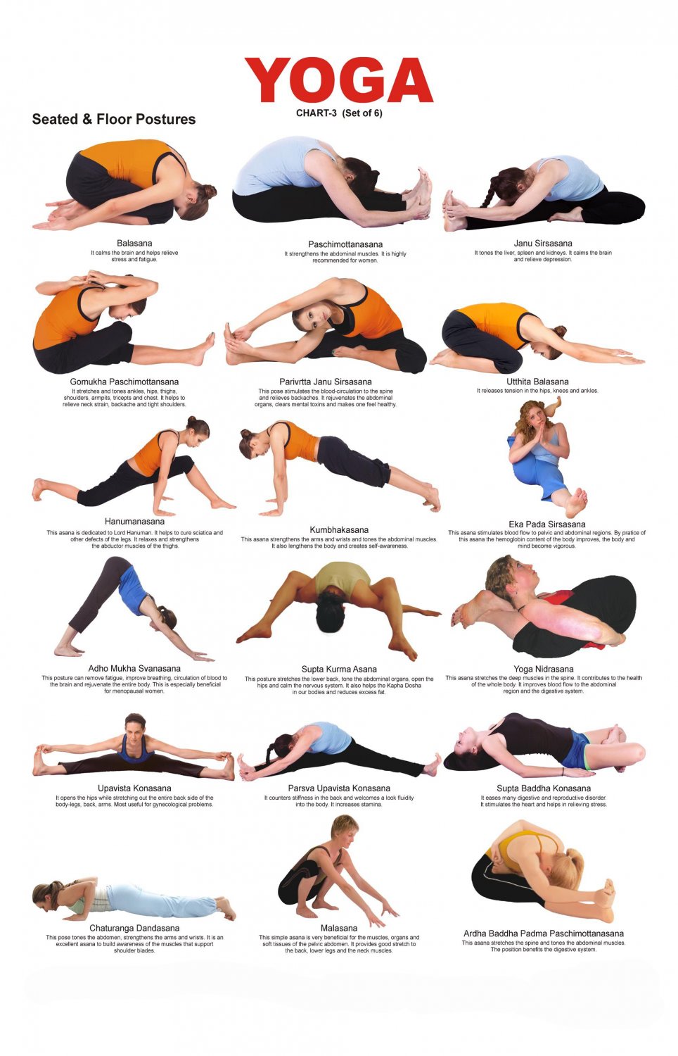 Yoga Seated and Floor Postures Chart 18"x28" (45cm/70cm) Poster