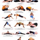 Yoga Seated and Floor Postures Chart 18"x28" (45cm/70cm) Canvas Print