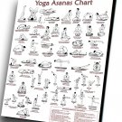 Ananda Marga Yoga Asanas Chart  12"x16" (30cm/40cm) Canvas Print