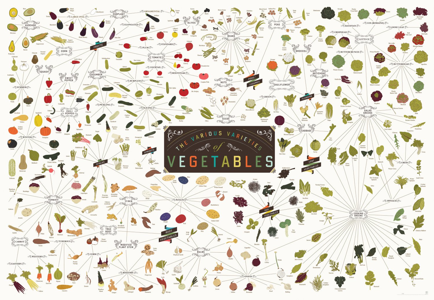 The Various Varieties of Vegetables Chart 13"x19" (32cm/49cm) Canvas Print