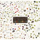 The Various Varieties of Vegetables Chart 13"x19" (32cm/49cm) Canvas Print