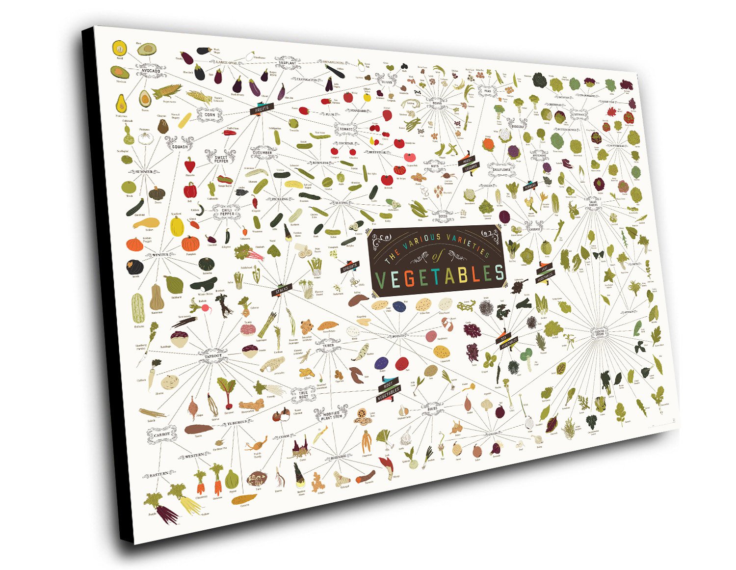 The Various Varieties of Vegetables Chart 12"x16" (30cm/40cm) Canvas Print