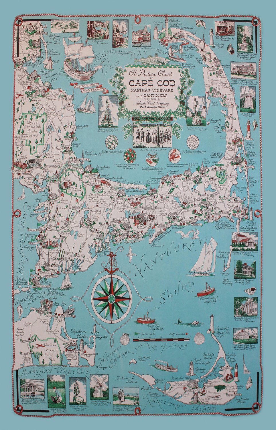 A Picture Chart of Cape Cod 13"x19" (32cm/49cm) Canvas Print