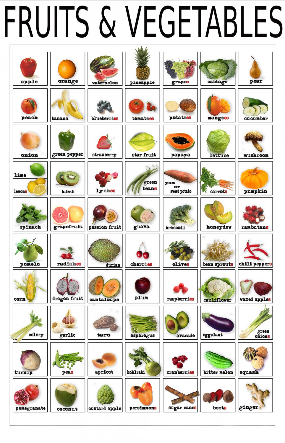 Fruits and Vegetables Infographic Chart  13"x19" (32cm/49cm) Canvas Print